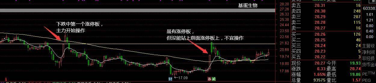 短线纯干货抓涨停看盘技术捕捉主力动向综合技术