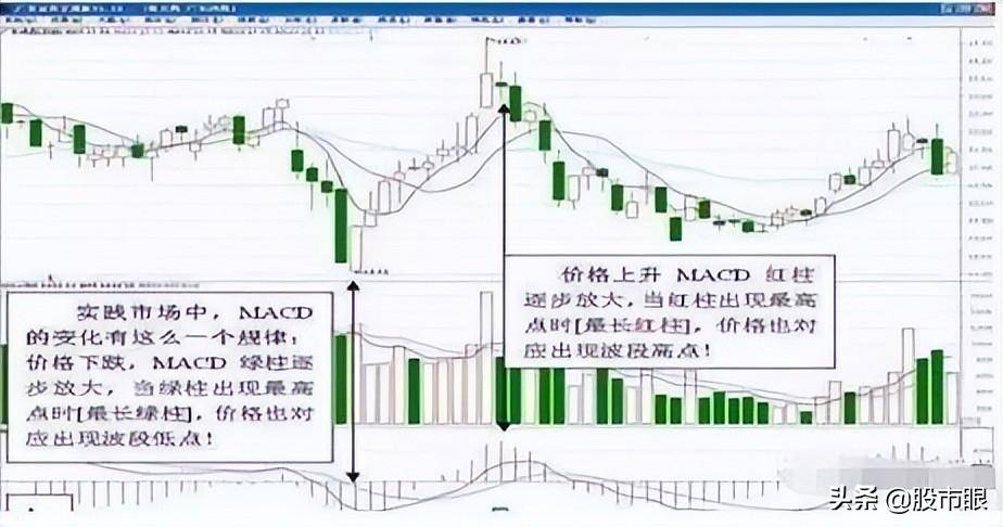 股市大涨大跌都是散户造成的吗如果散户都退出了股市会怎么样？