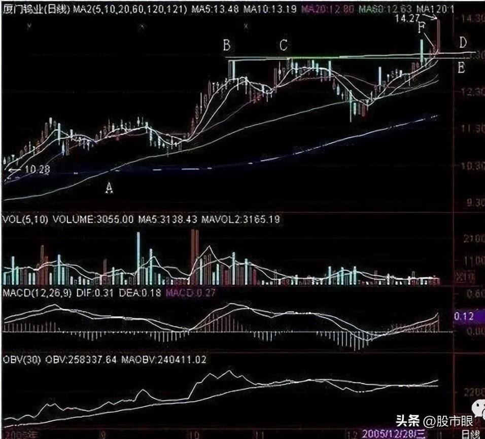 欧洲股神用一个故事比喻中国股市启发大部分人重新认识A股