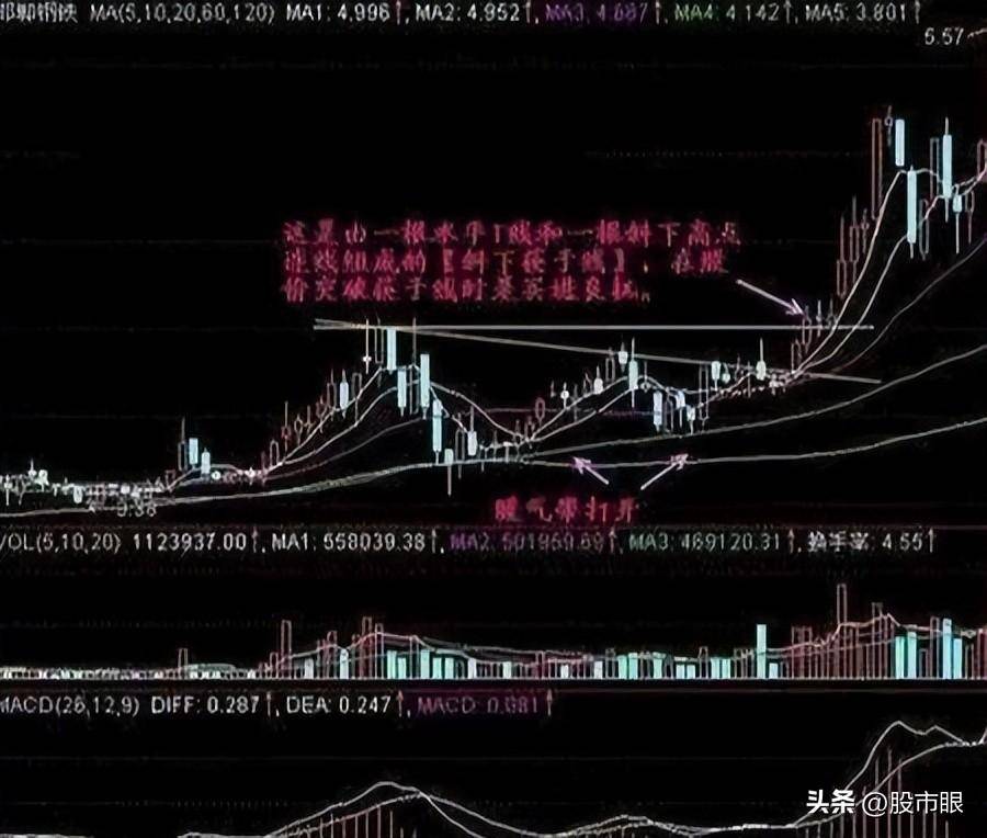 欧洲股神用一个故事比喻中国股市启发大部分人重新认识A股