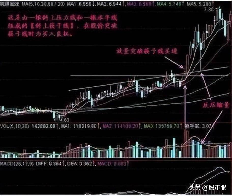 欧洲股神用一个故事比喻中国股市启发大部分人重新认识A股