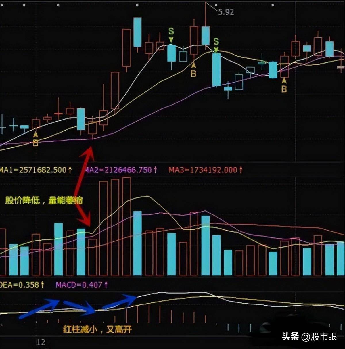欧洲股神用一个故事比喻中国股市启发大部分人重新认识A股