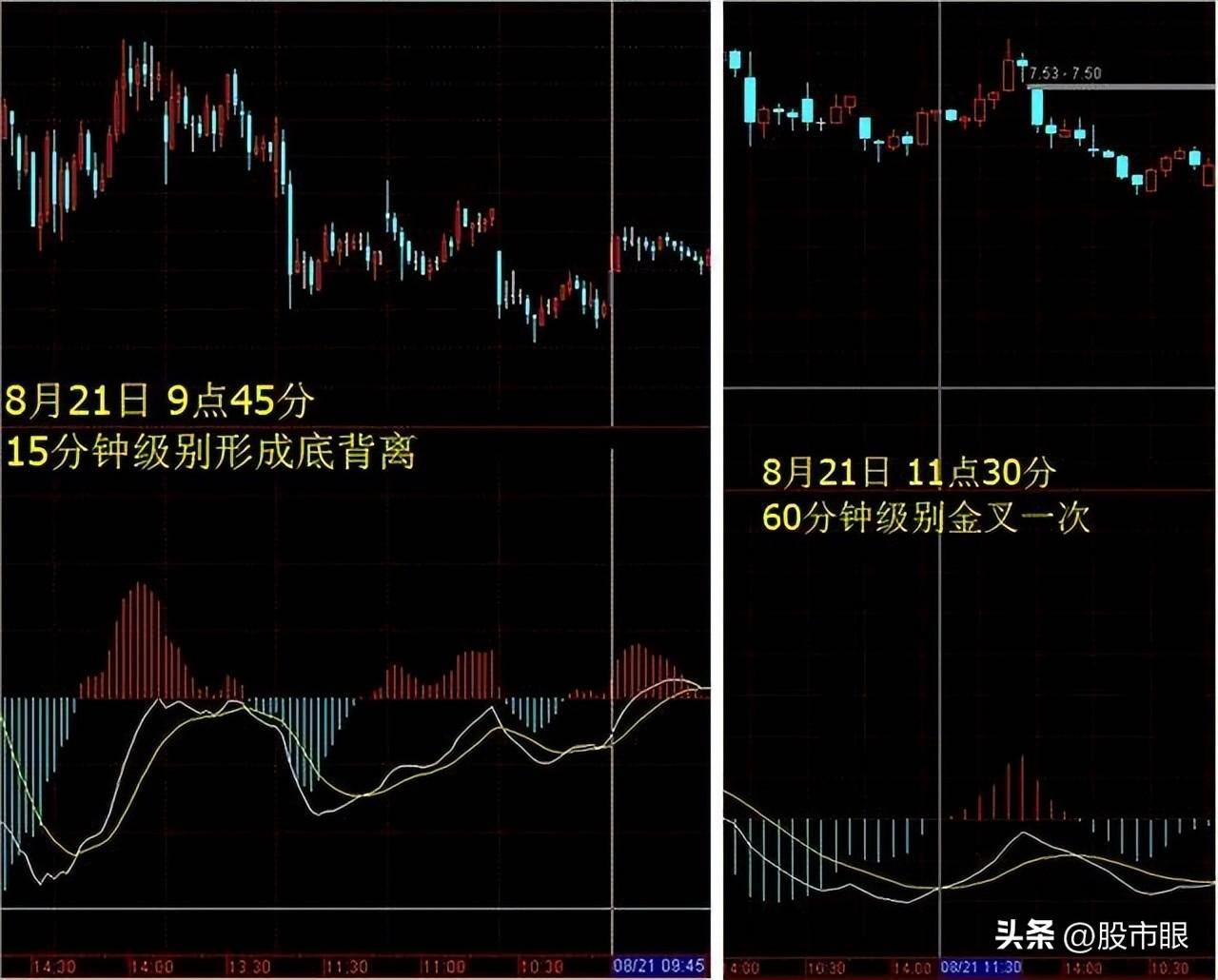 买股票前为什么坚决要看MACD指标？字字精华不懂就别炒股