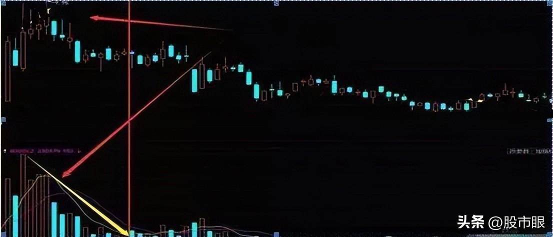 什么样的散户让庄家头痛?终于有人解析透了看完大彻大悟