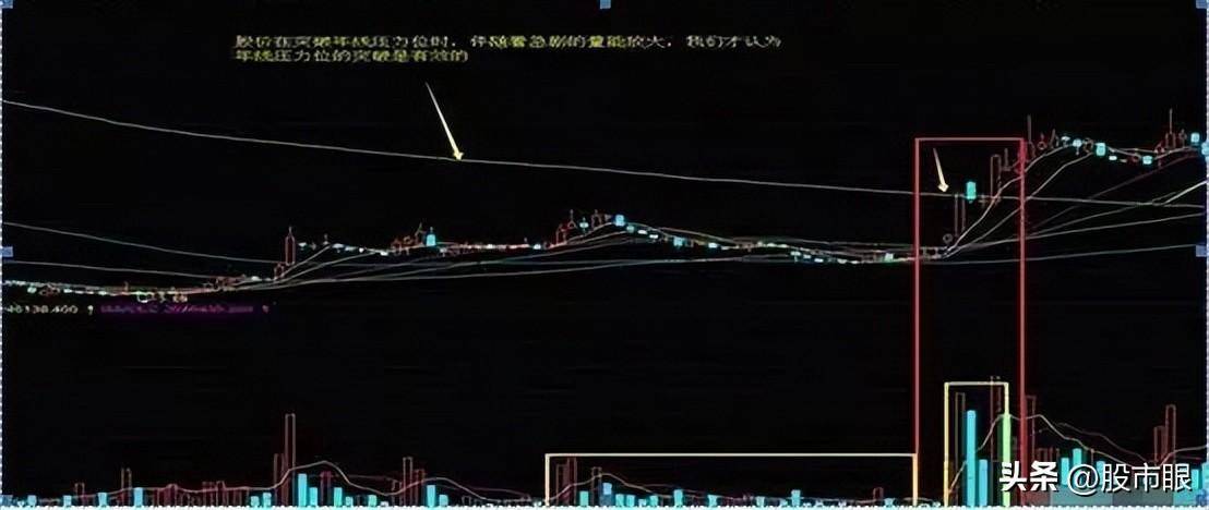 什么样的散户让庄家头痛?终于有人解析透了看完大彻大悟