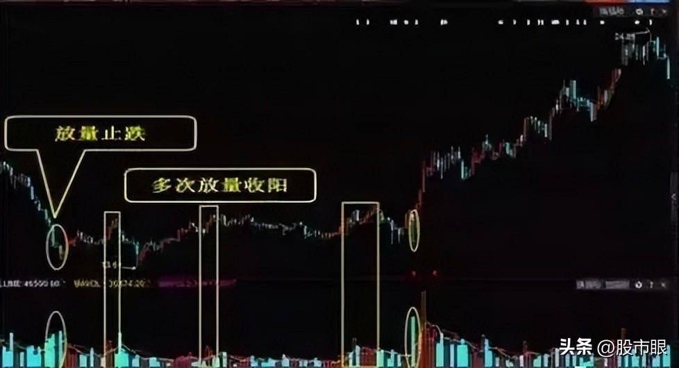 什么样的散户让庄家头痛?终于有人解析透了看完大彻大悟