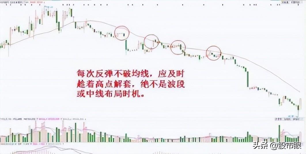 献给所有在中国股市挣扎中的股民建议投资者睡觉前看几行