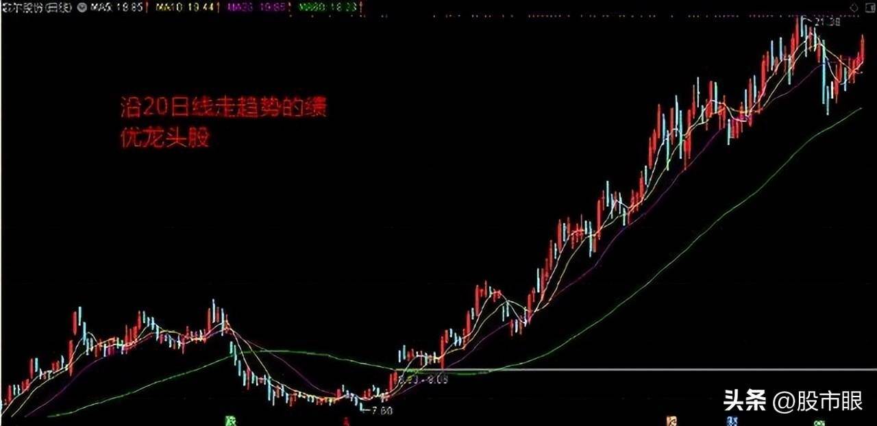 远离股市中总是亏钱的这四类散户让你投资成功率提高20