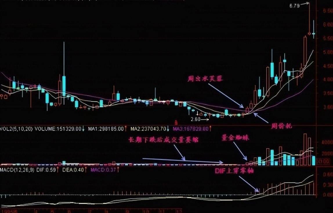 这才是周K线的正确用法怪不得只有少数人知道读了十次涨见识