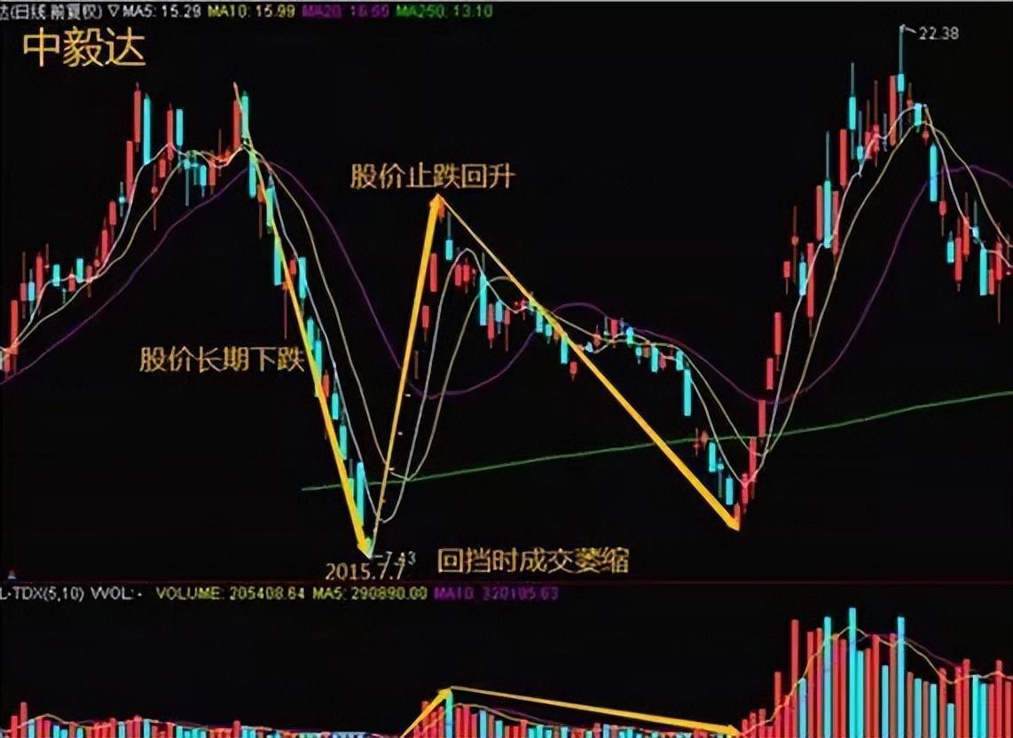 哪些机构在股市中算得上是庄家?今天算是涨知识来了