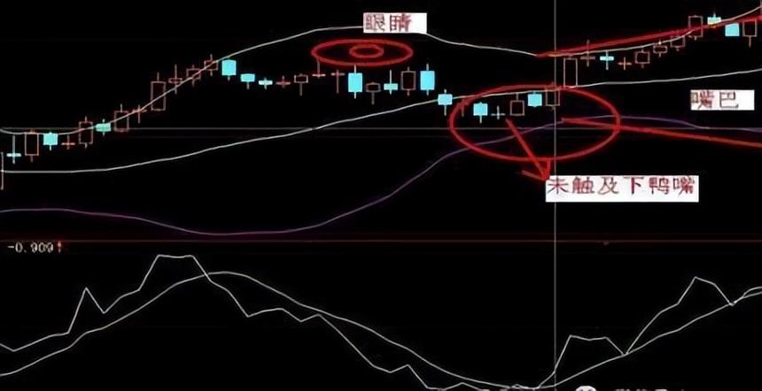 BOLL布林线怎么用！布林线5日均线和MACD指标共振的买卖方法
