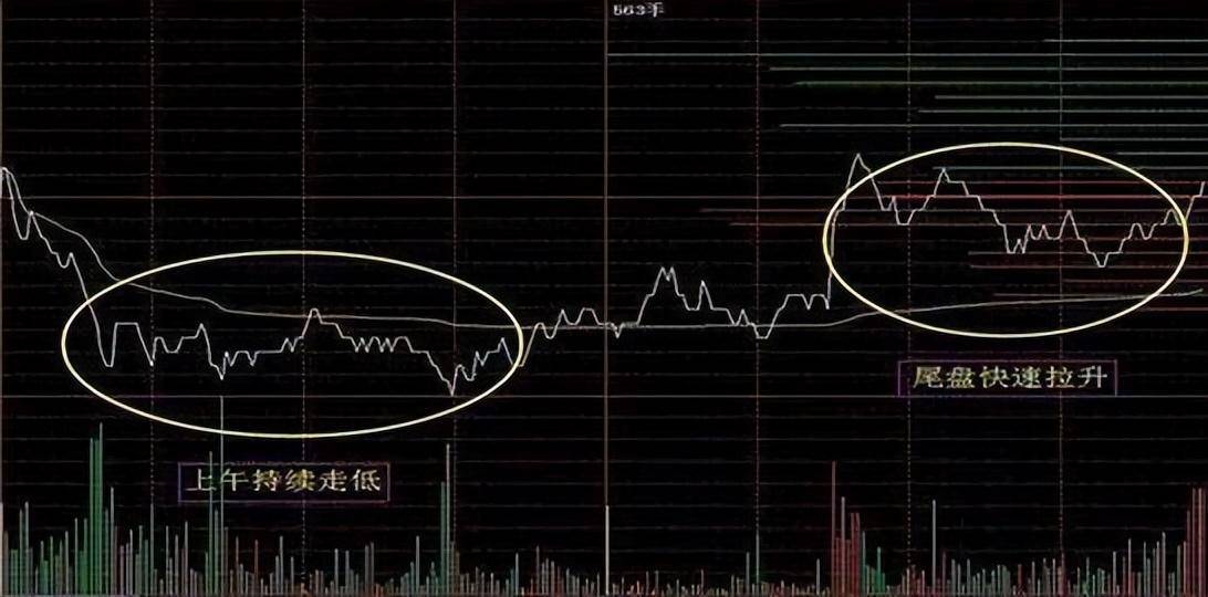 为什么散户炒股总赚不到钱终于有人说清楚想法太美好了