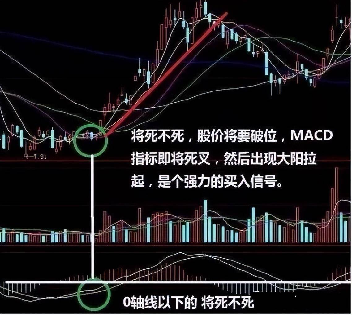 MACD黄金口诀无顶背离不抛盘无底背离不抢筹