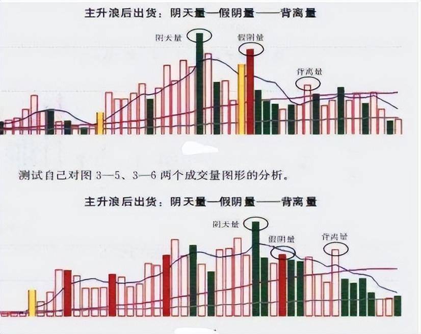能在交易市场存活下来的都是些什么人？看完陷入了沉思