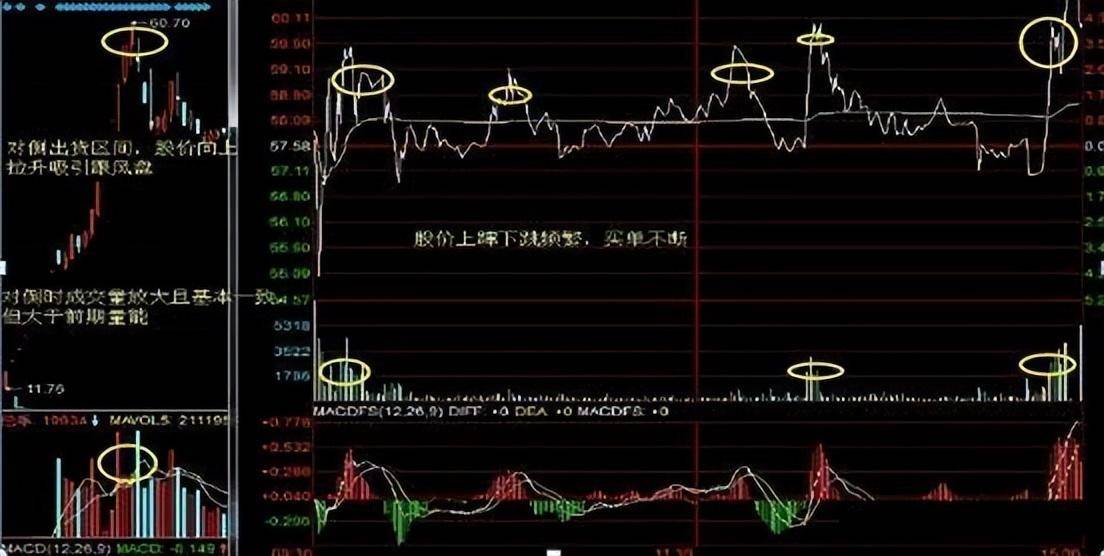 能在交易市场存活下来的都是些什么人？看完陷入了沉思