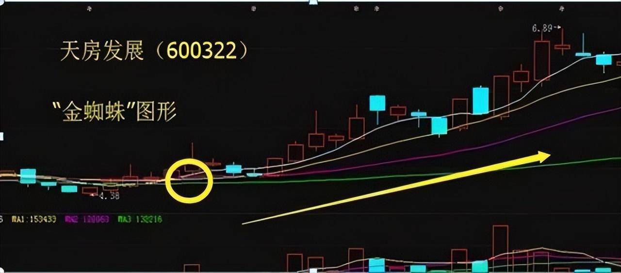 选股技巧牢实掌握万能选股技巧才能让你脱颖而出