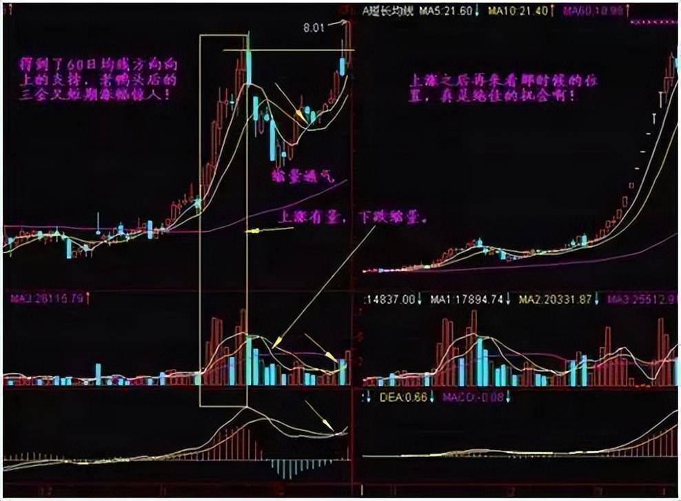 中国股市最牛的人最容易赚钱的选股操作方法一定要吃透!