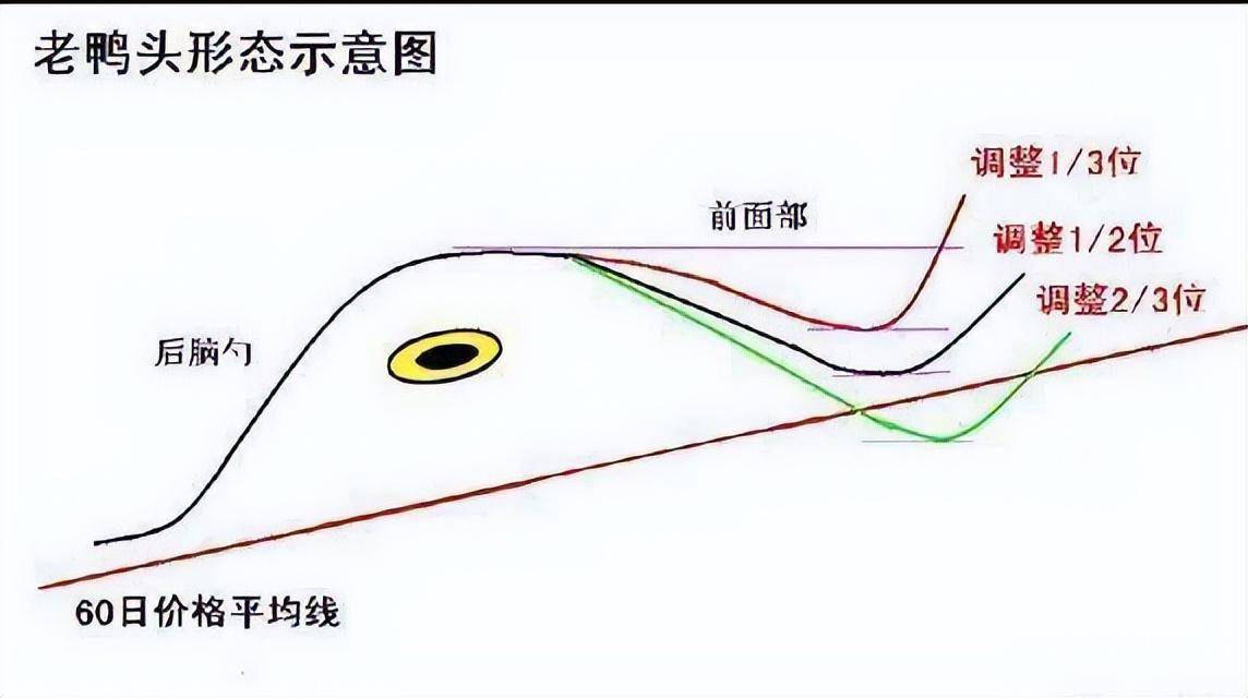 中国股市中最容易赚钱的选股操作方法学会就是赚到了！