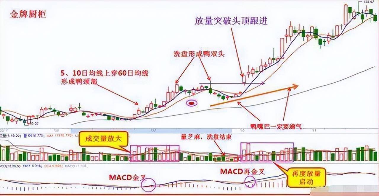 中国股市中最容易赚钱的选股操作方法学会就是赚到了！