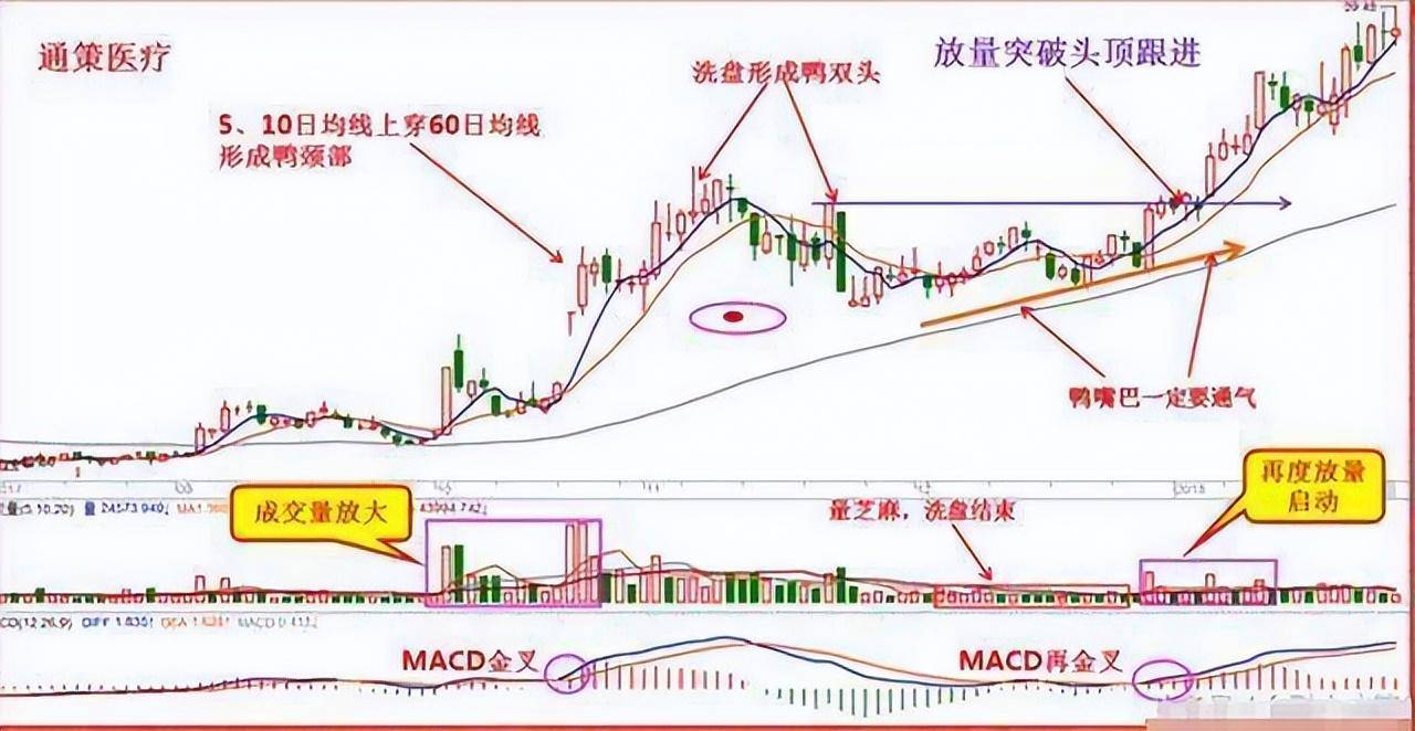 中国股市中最容易赚钱的选股操作方法学会就是赚到了！