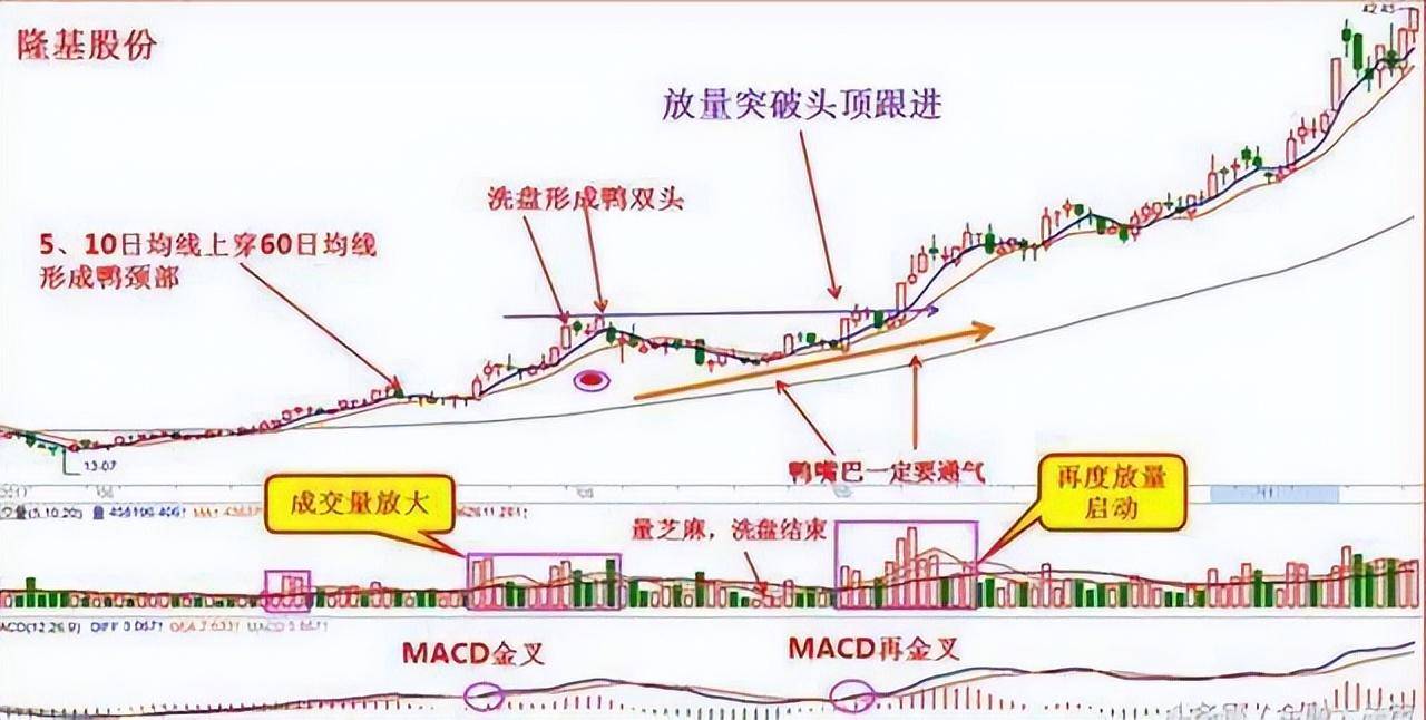 中国股市中最容易赚钱的选股操作方法学会就是赚到了！