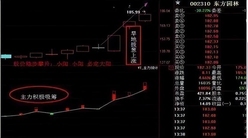 曝光庄家永远都hold不住你的绝招据说股市教父也在用!
