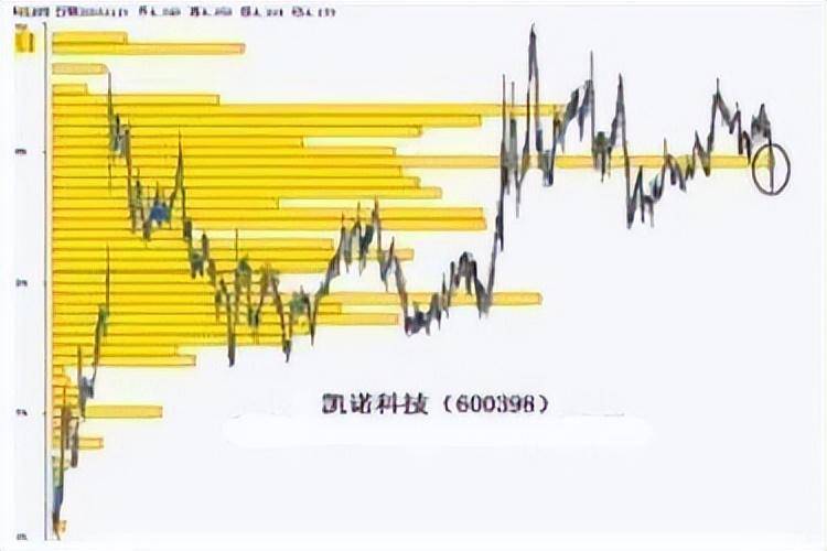 散户为什么容易被套？股市乘浪要看天色浪的高低要看官意。