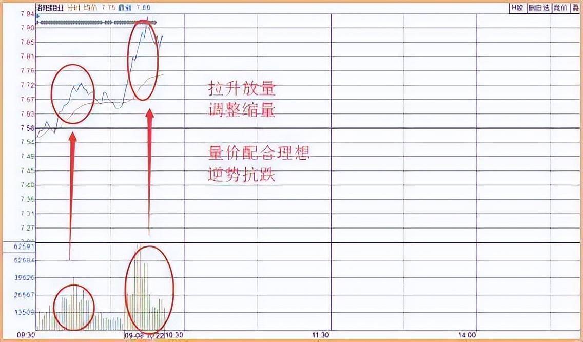 长期持有一只股票坚持每天做T10年以后会是什么结果?