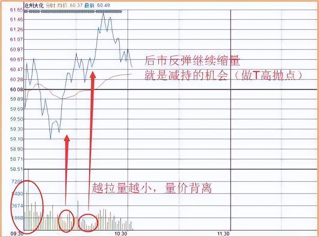 长期持有一只股票坚持每天做T10年以后会是什么结果?