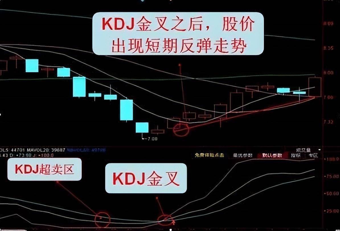 长期持有一只股票坚持每天做T10年以后会是什么结果?