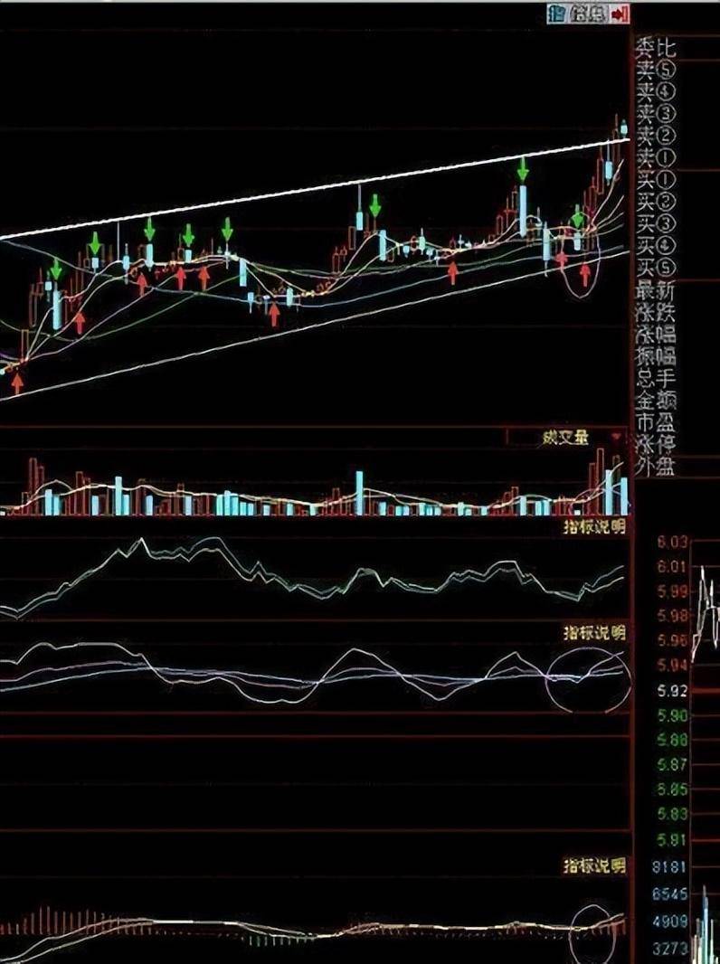 长期持有一只股票坚持每天做T10年以后会是什么结果?