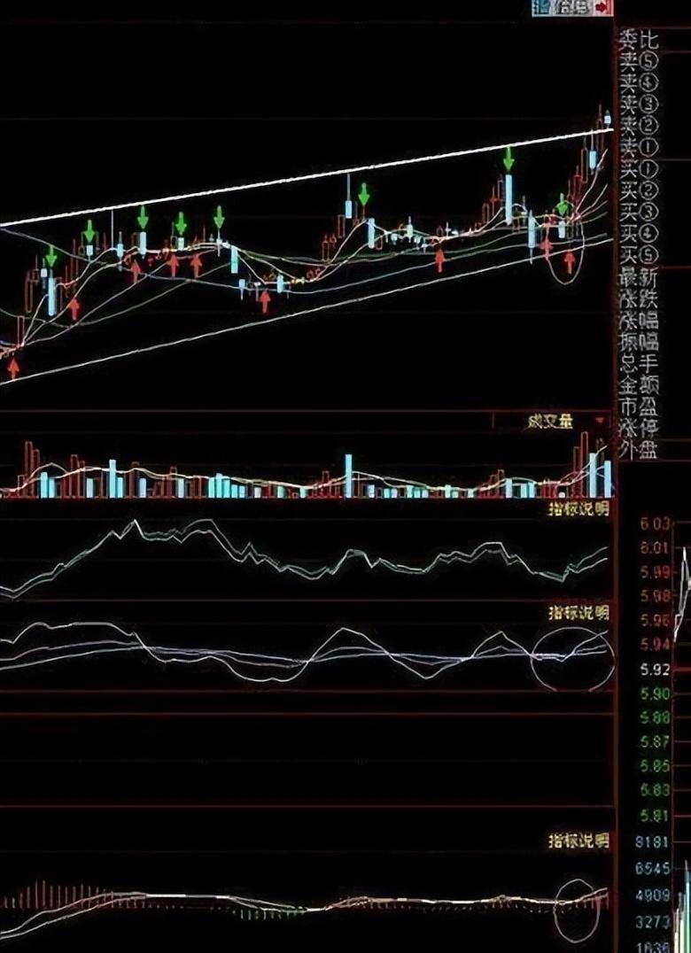 长期持有一只股票坚持每天做T10年以后会是什么结果?