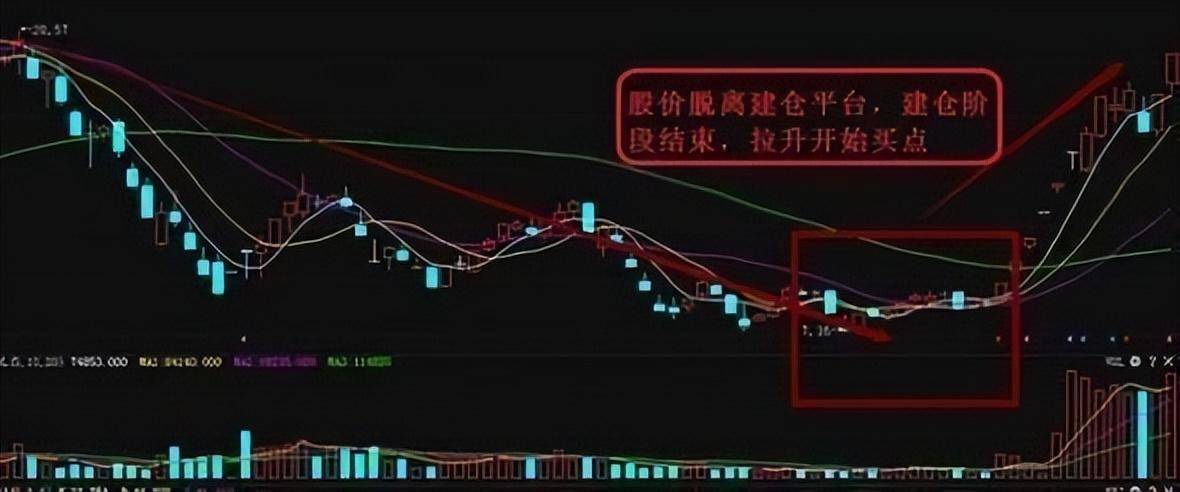 中国股市千万看好蚂蚁上树形态悄咪咪跟上主力节奏细品