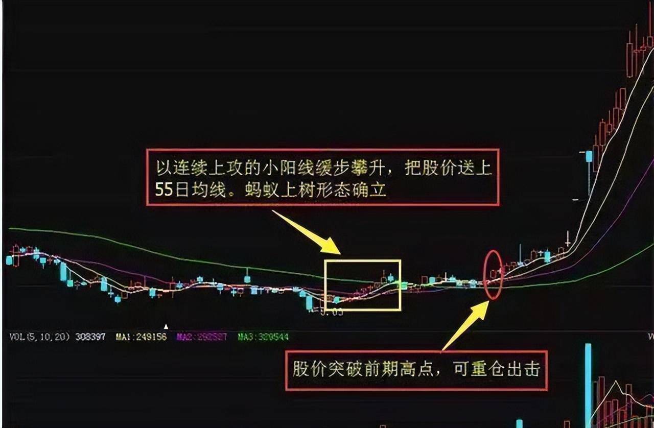 中国股市深藏不露的阴线形态战法主力拿你都毫无办法