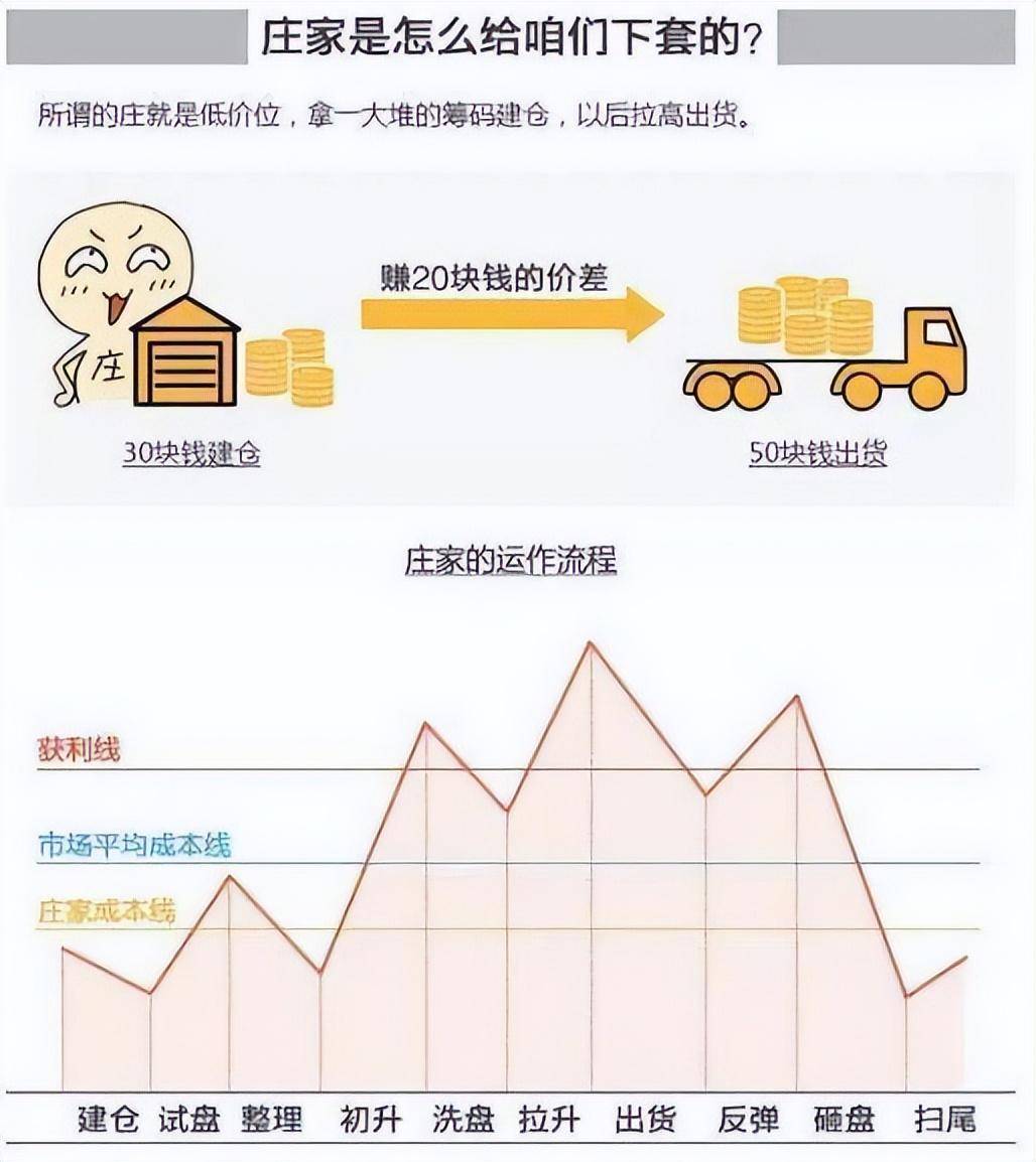 金融女博士终于发声了中国股市背后的庄家是谁？我整整读了10遍