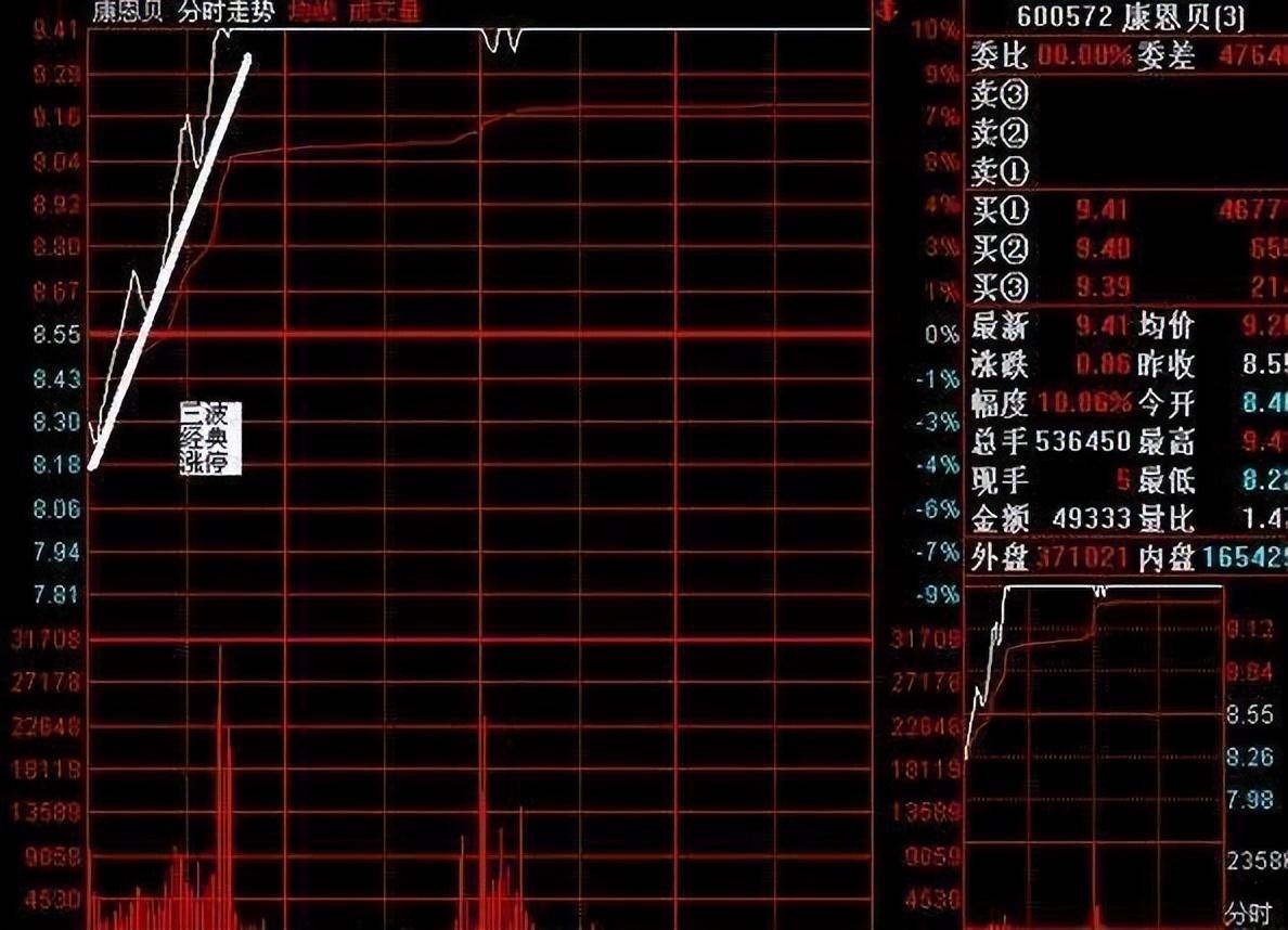 金融女博士终于发声了中国股市背后的庄家是谁？我整整读了10遍