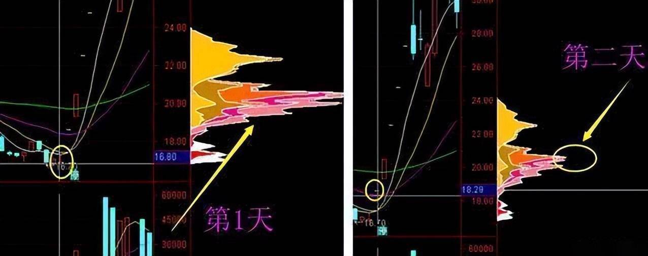 中国股市正在经历去散户化？大量散户退出带来的后果是什么
