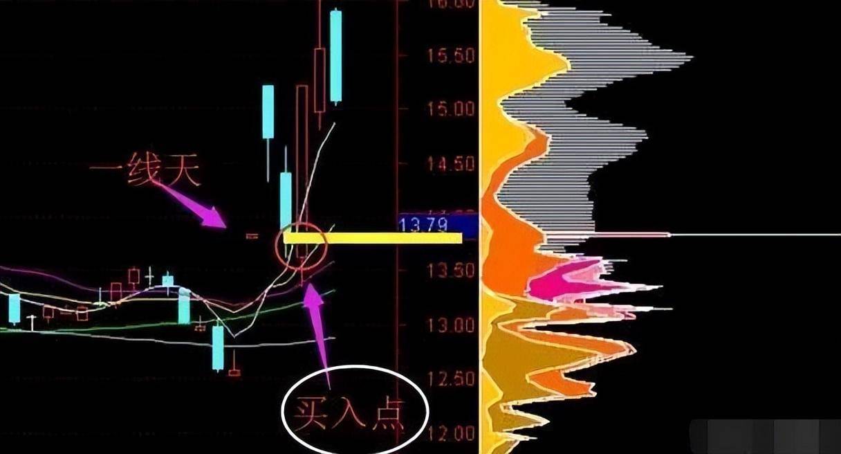中国股市正在经历去散户化？大量散户退出带来的后果是什么