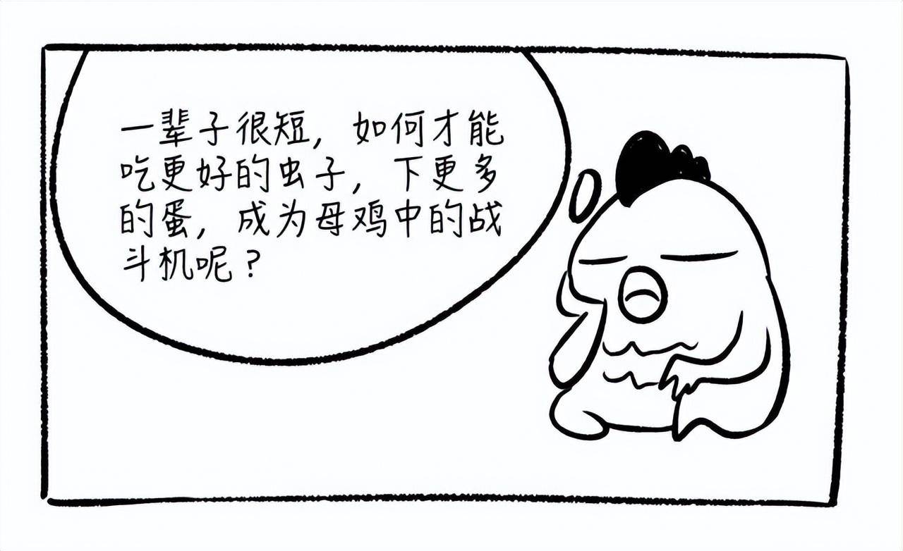 上大女博士终于发声我用一只母鸡就能把中国股市给你讲明白