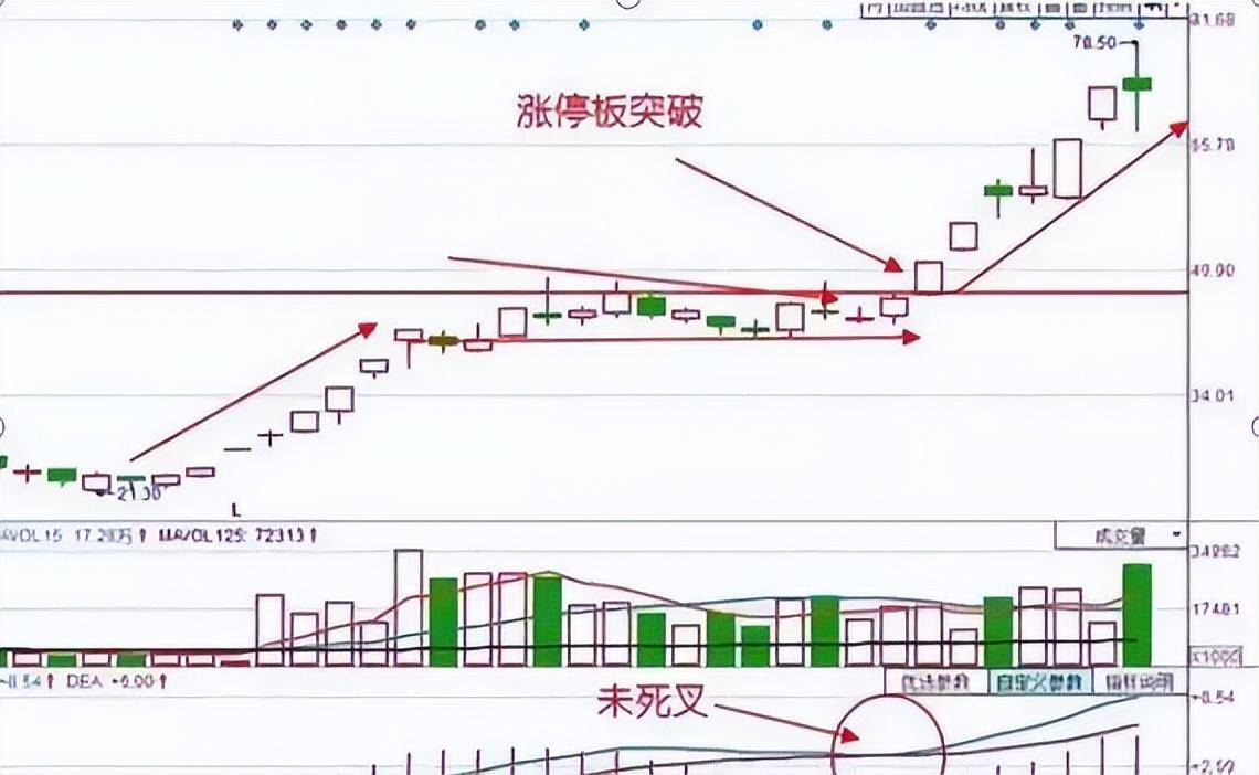 北大博士说破股市15年来坚持炒股一日游,很简单却很赚钱