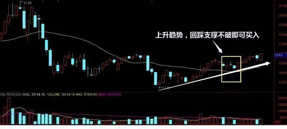 最终能够在股市存活下来的都是些什么人?终于有人发声了!深刻