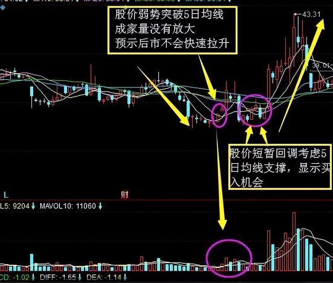 犹太人的暴利赚钱思维当你穷的时候不妨试试5日均线的用法