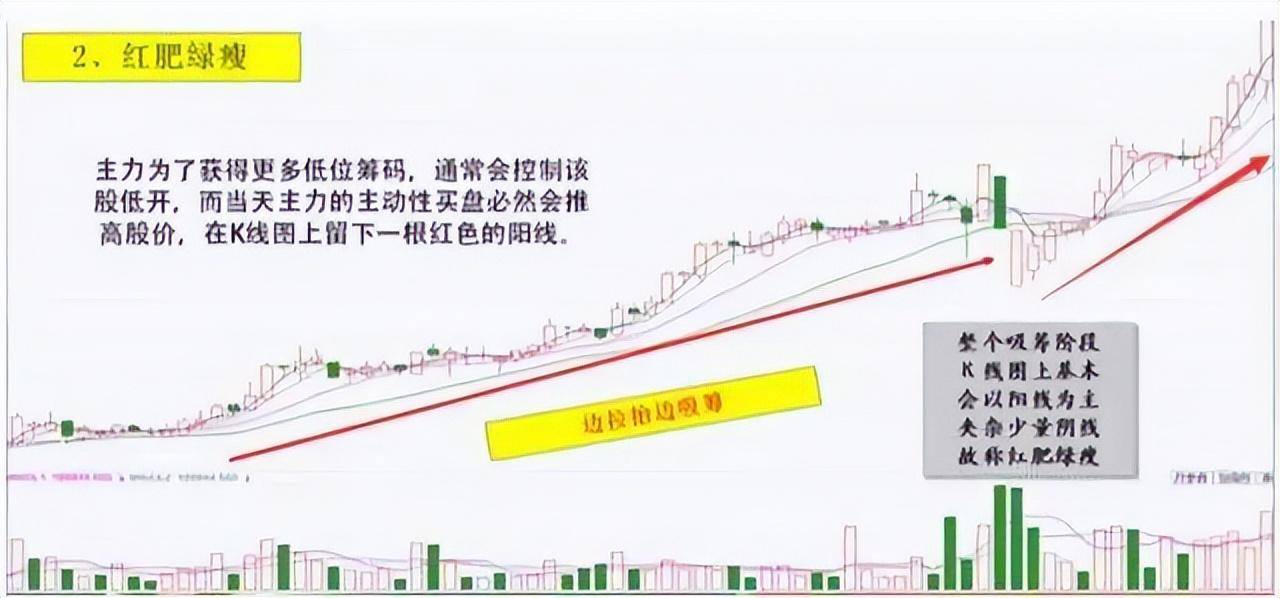 一旦出现红肥绿瘦形态别犹豫紧跟其后学会跟着主力吃肉