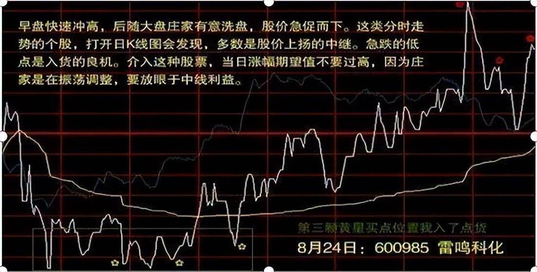 一旦出现红肥绿瘦形态别犹豫紧跟其后学会跟着主力吃肉
