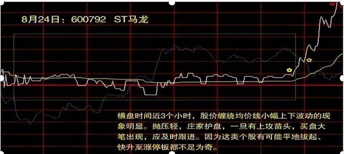 一旦出现红肥绿瘦形态别犹豫紧跟其后学会跟着主力吃肉