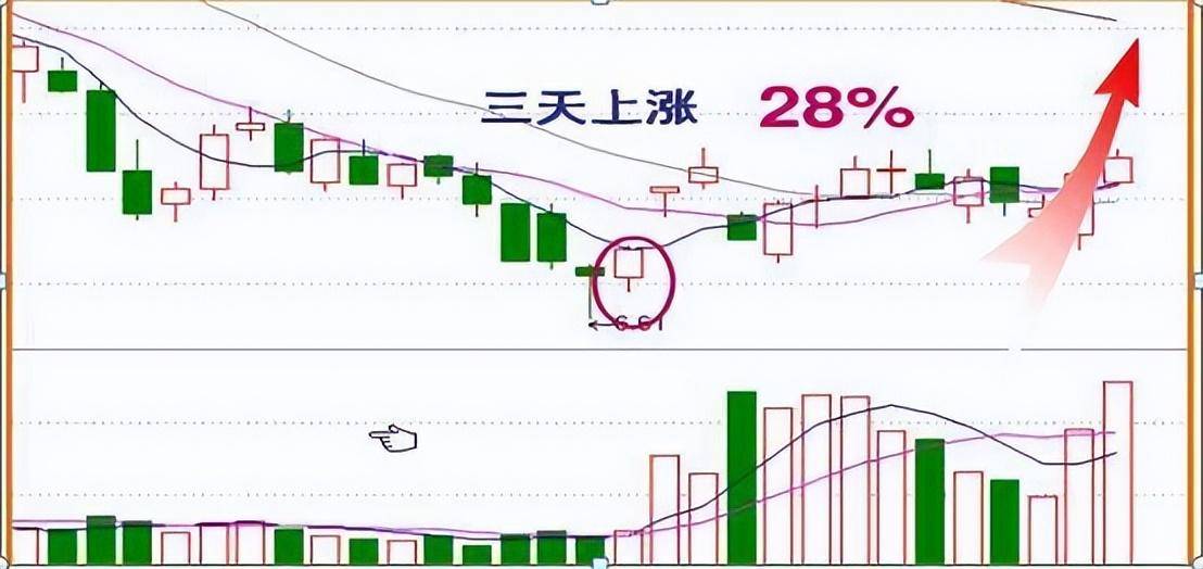 中国股市里沉浮十余年的投资笔记我只看尾盘半小时逢买就涨