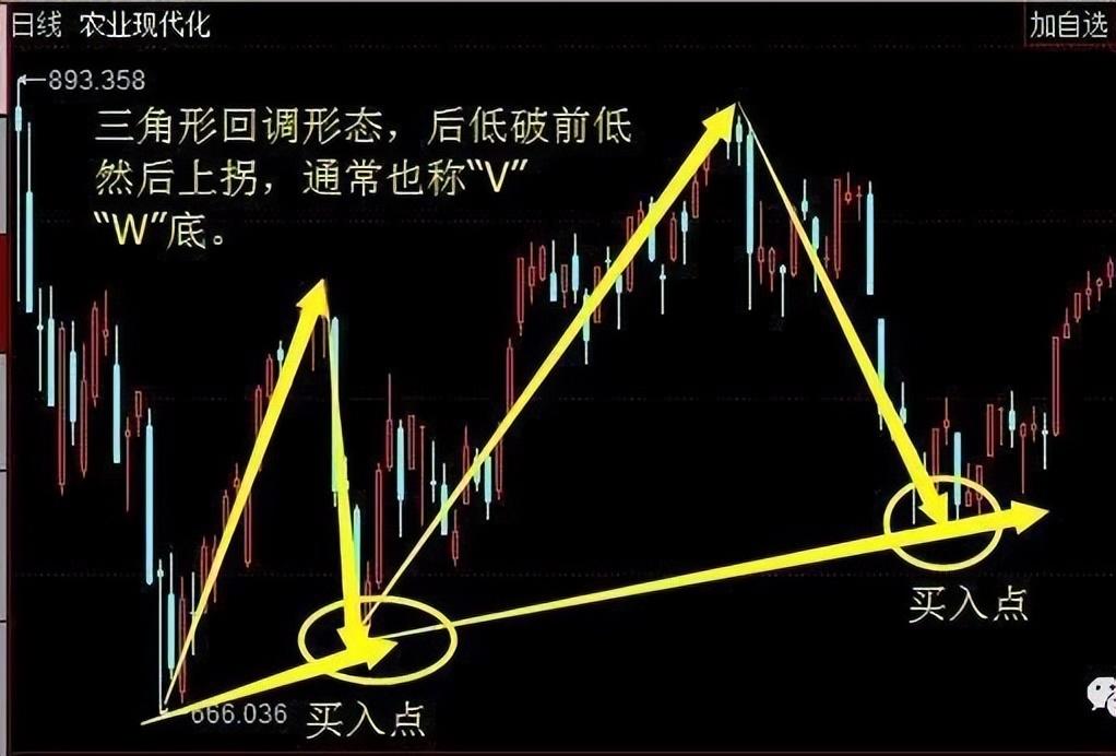 股市真正的强者赚钱这件事其实很简单这才是大道至简