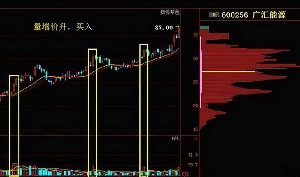 炒股如此简单!老股民教你运用成交量买卖股票书上学不到的精髓