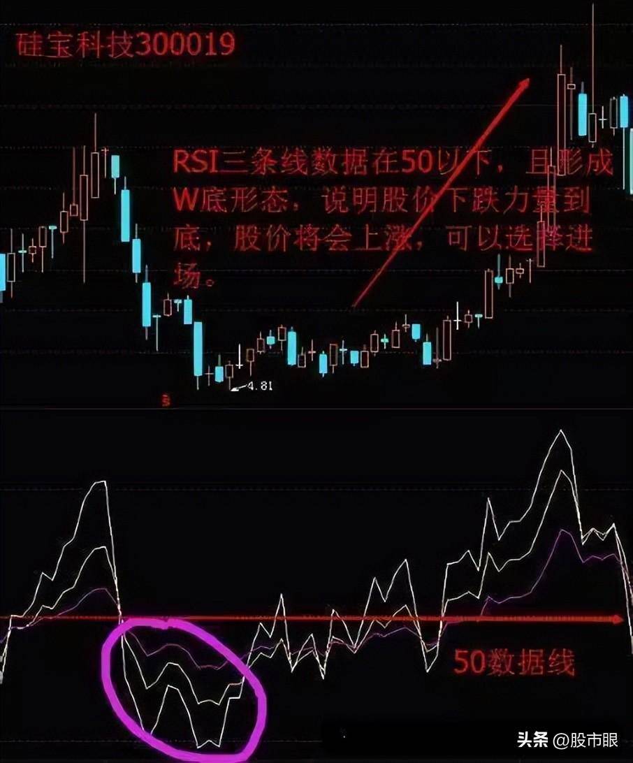 坐上中国船舶的老太太告诉你只有傻瓜才能在股市中赚到钱?