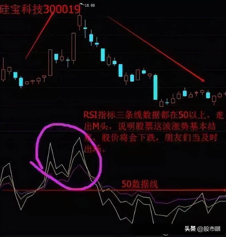 坐上中国船舶的老太太告诉你只有傻瓜才能在股市中赚到钱?